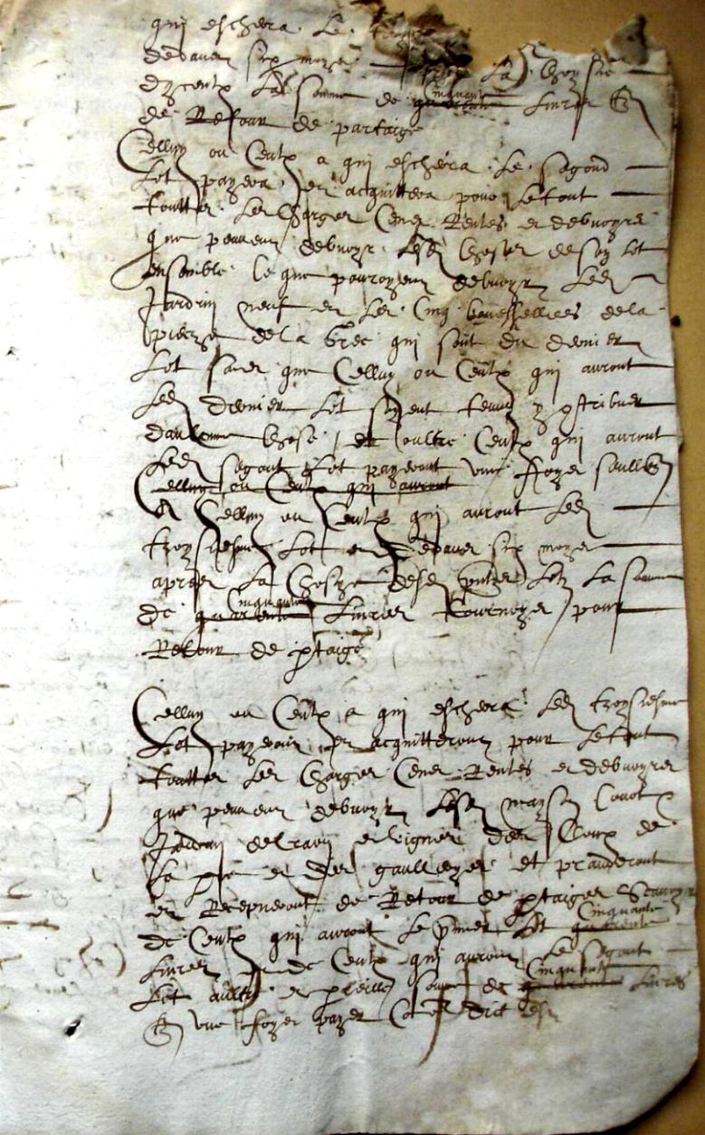 Cohon-G_1615 (13).JPG